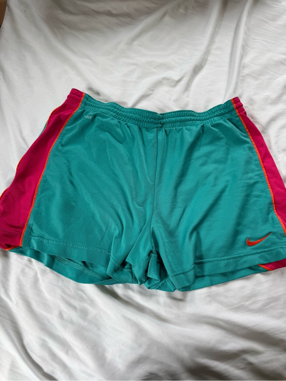 Nike Women's Teal Shorts with Pink Side Panels